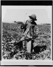 Lad Alex Reiber Working in a Beet Field