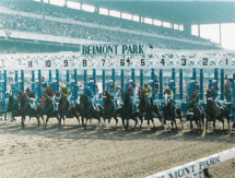 Starting Gate at Belmont Park