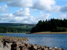 Albert and Joey - Burrator Reservoir