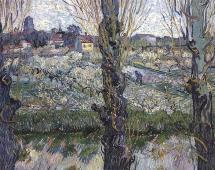 Orchard Blossom with View of Arles