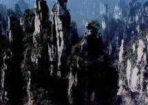 Stone Forests