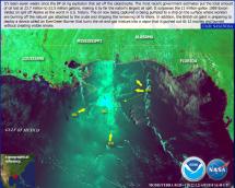 Oil in the Gulf - Revised Estimates