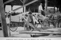 Storm Victim Bodies - Galveston, 1900