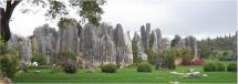 Stone Forests