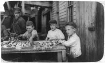 Young Fish Cleaners