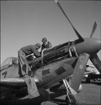 Captain Roscoe Brown - Tuskegee Airman