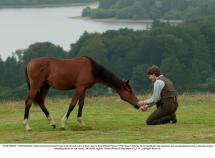 War Horse - Albert and Joey