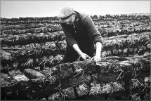 Peat Bog - Harvesting Peat for Fuel