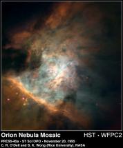 Orion Nebula Mosaic