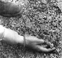 Trinitite