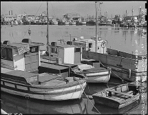 Japanese-American Fishing Boats