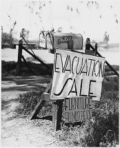 Evacuation Sale