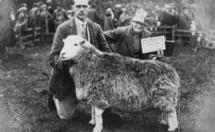 Tom Storey - Lead Shepherd for Beatrix Potter Heelis