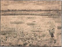 Marsh with Water Lilies - van Gogh Drawing