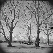 Manzanar Camp in Owens Valley, California