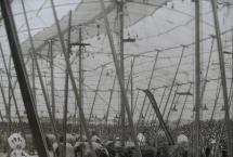 Elephants and the Crowd - Circus, 1930s Style