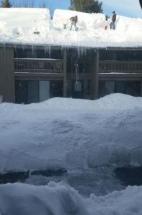 Up on the roof
