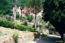 Etruscan Wall Near Bramasole