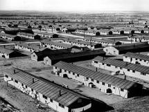 Japanese-American Internment