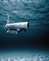 Remote Mine-Hunting System 