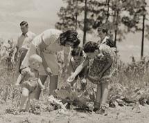 Growing a Victory Garden in Florida