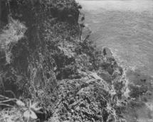 Saipan - Rocky Coastline