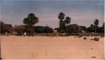 Wells of Bara