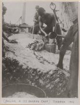 Harvesting Oil from a Sperm Whale's Case