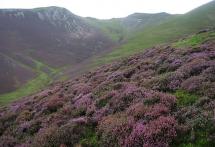 Hopegill Head