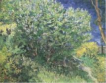 Lilacs - Vincent's May, 1889 Painting