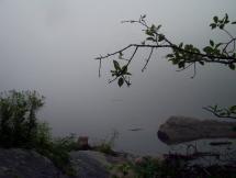 Huge Spider Web Shines in the Mist