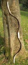 Reflex Bow - Weapon of Attila and His Huns