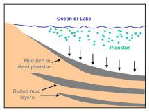 How Oil Is Formed