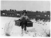 Child Labor - Slavin Nocito Carrying Berries