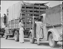 Evacuating Children by Truck