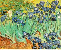 Irises - Vincent's May, 1889 Painting