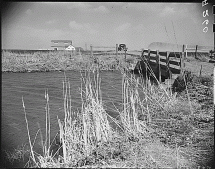 Area Near Tule Lake Camp