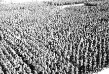 German POWs in Moscow