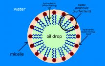 Impact of Soap on Oil